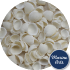 Cockle Shells - White Rose Craft - Project Pack